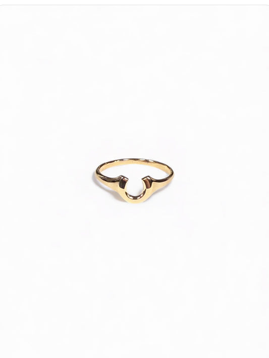 Tiny horseshoe ring 9Y gold